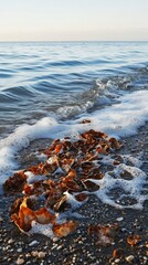 Coastal Waste: A Striking Image of Nature's Beauty and Environmental Concerns