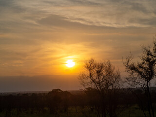Kruger National Park, South Africa