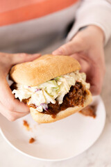 Pulled Pork Sandwich 