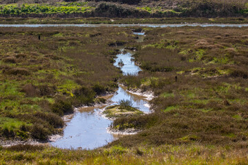 Salt Marsh in Leigh-on-Sea, Essex