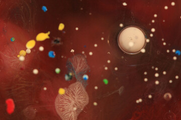 Liquid Art- Oil and Paint