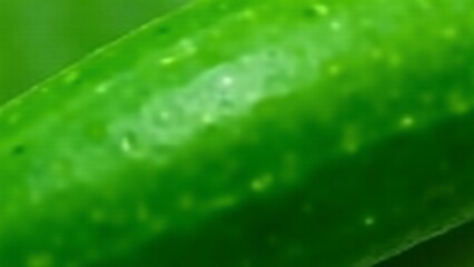 A close-up of a cucumber's smooth, waxy skin with a glossy finish. Lighting highlights its polished and fresh texture.