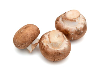 Brown mushrooms isolated on white background
