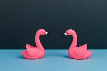 two swans blue and black background