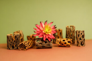Flower green background