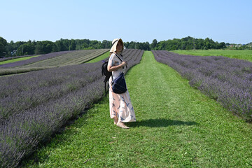 beautiful young woman in lavender field