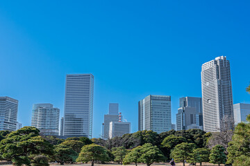 Obraz premium 東京 浜離宮恩賜庭園