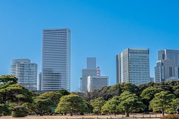 Obraz premium 東京 浜離宮恩賜庭園