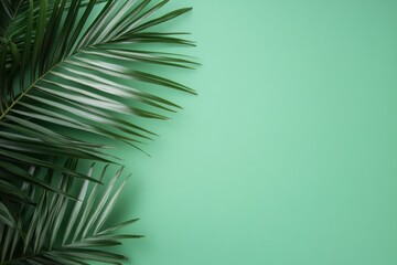 Fototapeta premium palm leaf on the left side background