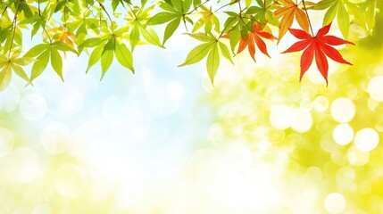 Obraz premium Autumn leaves against a bokeh background, for nature desktop use