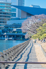東京　浜離宮恩賜庭園の風景
