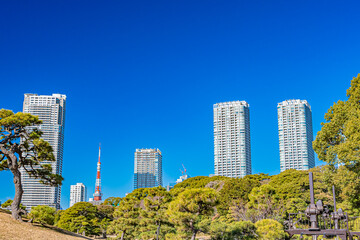 東京　浜離宮恩賜庭園の風景
