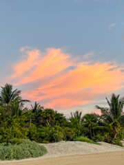 Fototapeta premium golden sunrise with pink orange cloud on white sand beach with palm tree in the back in playa del carmen Mexico - concept of travel, tropical, holiday, relaxation, new day