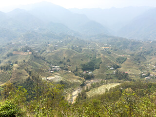 sapa rice fields mountain view in vietnam