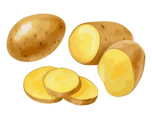 じゃがいもの水彩風イラスト　生成AI