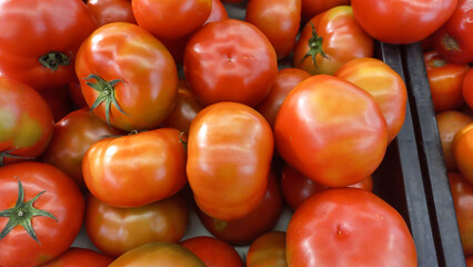 red tomatoes on the market