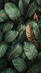 Lush green leaves with vibrant orange veins creating a rich, textured backdrop in nature