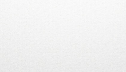 White cardboard with subtle brush stroke marks, background, surface, simple