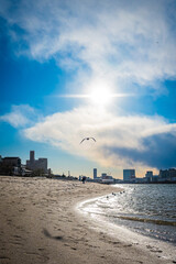 東京　お台場の風景