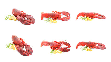 Tasty boiled lobster isolated on white, set