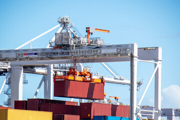 Portal cranes lift a container