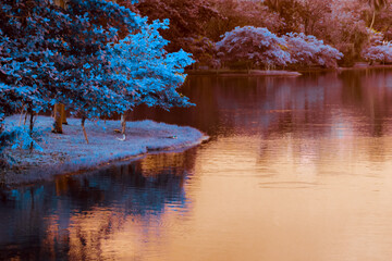 Infrared photography, a serene body of water with trees on the shore. The trees are depicted in a...
