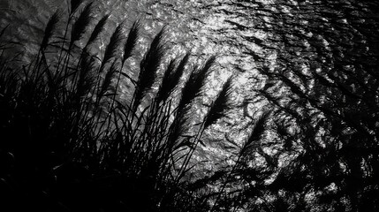 Silhouetted grass swaying gently by the shimmering water under a soft light at dusk