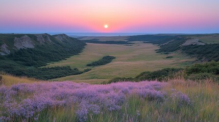 Serene sunset over a lush valley filled with blooming flowers and distant hills