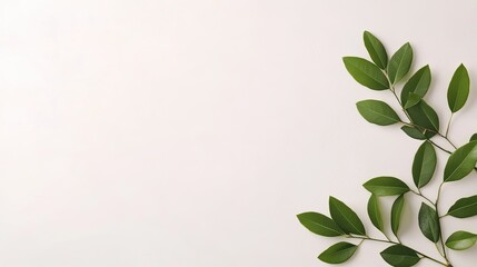 Fresh green leaves arranged artistically on a light background, ideal for nature-themed designs