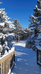 Snow-covered path through a serene forest with clear blue sky and bright sunlight