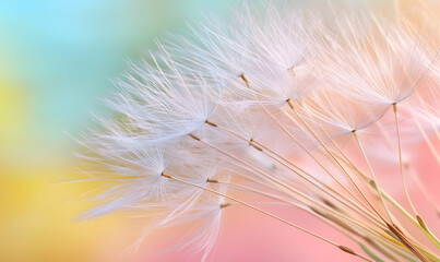 Delicate dandelion seeds against a soft pastel background, capturing ethereal beauty and the fleeting nature of time.