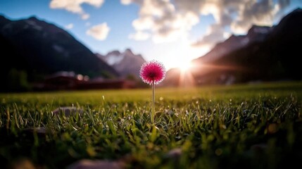 A vibrant pink flower stands alone on green grass, framed by majestic mountains and a glowing sunset, creating a serene natural scene.