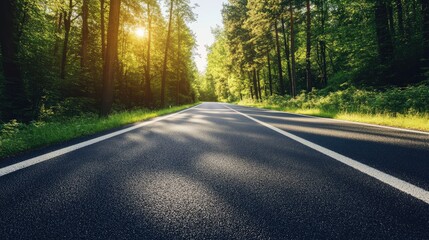 Fototapeta premium A smooth asphalt road cutting through a dense forest, with sunlight filtering through the trees.
