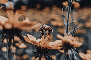 Close-up, Selective Focus, Soft Lighting, Moody, Organic, Natural, Honeycomb Pattern, Artistic, Detailed Wings, Stamen