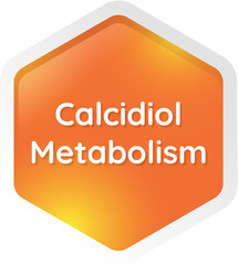 calcidiol metabolism 