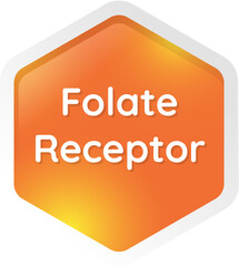 folate receptor