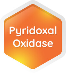 pyridoxal oxidase