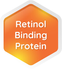 retinol biding protein