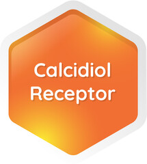 calcidiol receptor