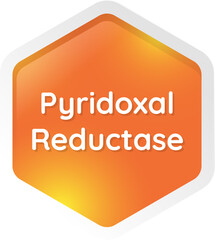 pr\yridoxal reductase
