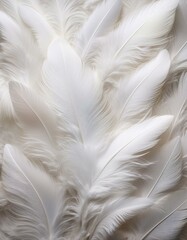 Obraz premium 天使の羽根が舞い降り、ホワイトとパールで清らかなスピリチュアルな空間を表現するデザイン 