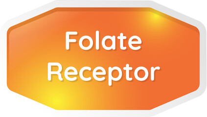 folate receptor