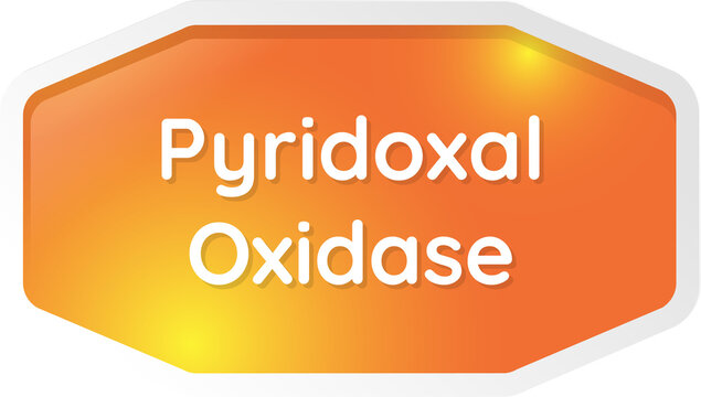 pyridoxal oxidase