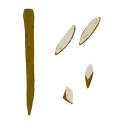 ごぼうの様々な切り方の手描きカラーイラストセット
