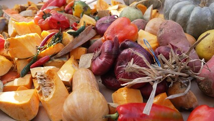 Pumpkin waste after Halloween. As a feed for farm animals