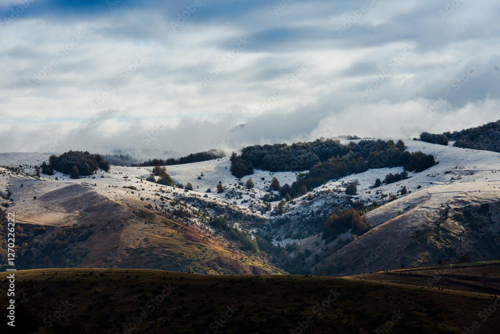 Poster rolling hills partially covered in early snow with trees and a cloudy sky above in the distance