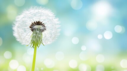 Close-up of a fluffy dandelion seed head against a soft, blurred background of pastel blue and green.  A symbol of springtime and wishes.