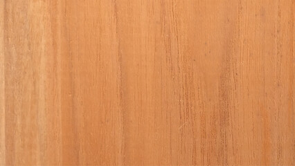 Naklejka premium Cedar Wood texture. Wooden planks. Wooden background. Cedar wood texture background with knots.