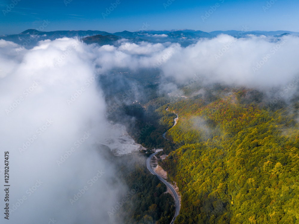 Poster scenic view of a road winding through a lush forest partially obscured by low lying clouds and dista