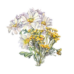 Watercolor chrysanthemum daisy chamomile and yellow tansy with green leaves isolated on white background. Hand-drawn summer bouquet flower for florist. Clipart for celebration wedding or wrapping